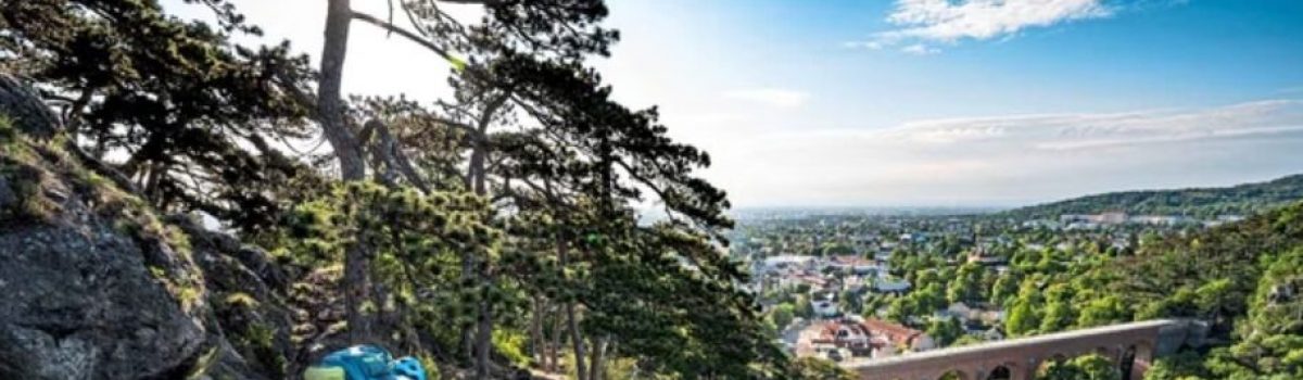 Anninnger Mountain Bike Area