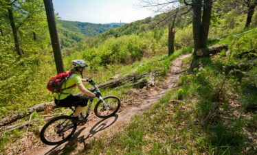 Mountain biking in Bratislava