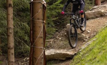 Wexl trails bike park