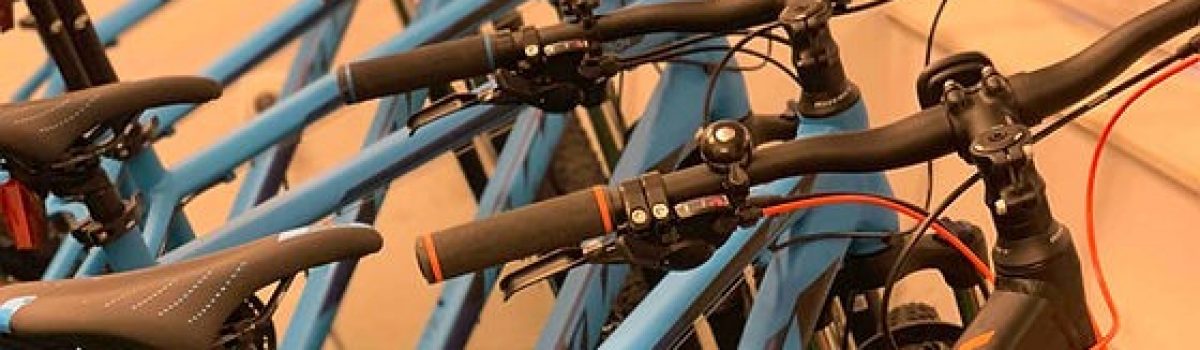 How to rent a mountain bike in Vienna. Tips and hints.