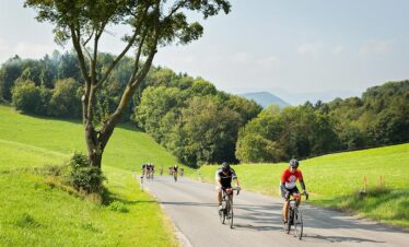 Road bike in Vienna