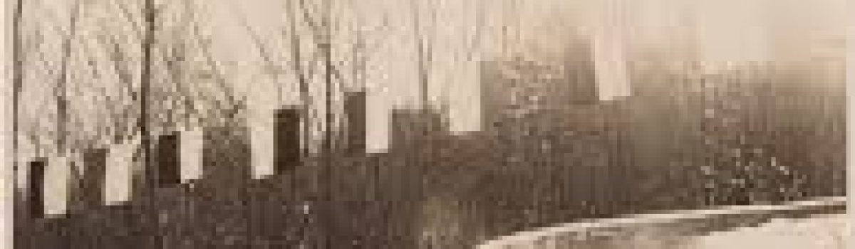 Anninger Toboggan history