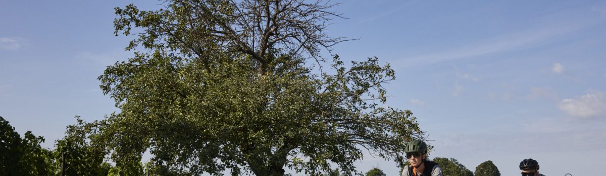 Gravel Biking as a Sport in Vienna