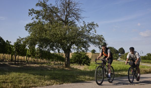 Gravel Biking as a Sport in Vienna