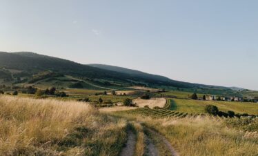Gravel bike road in Austria