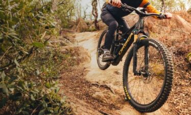 vienna ebike tour