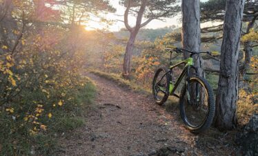 vienna woods bike