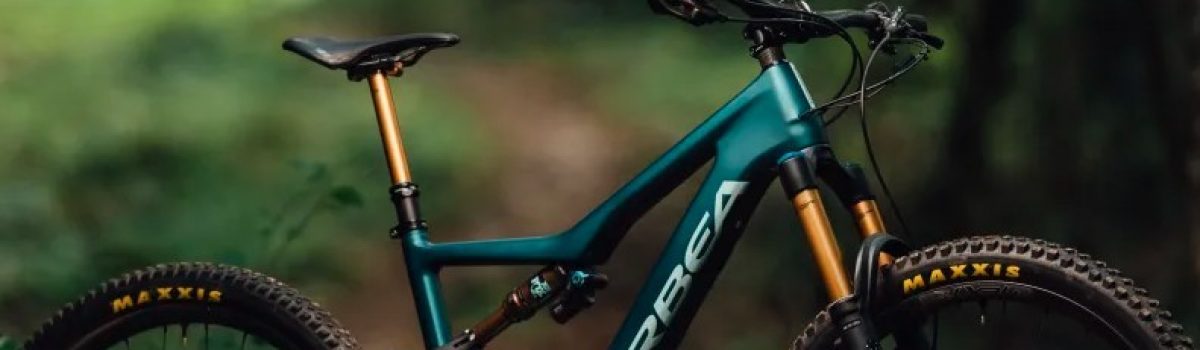 E-bike rent in Vienna with free delivery.