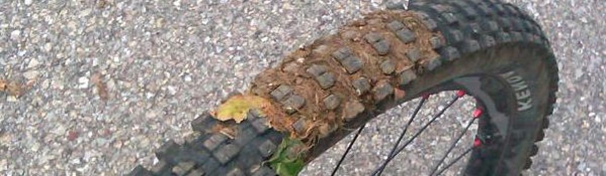 How to Stop Riding Your Bike Into Poop: A Cyclist’s Survival Guide