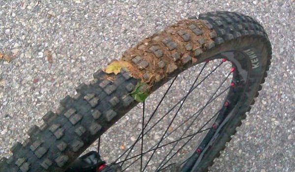 How to Stop Riding Your Bike Into Poop: A Cyclist’s Survival Guide