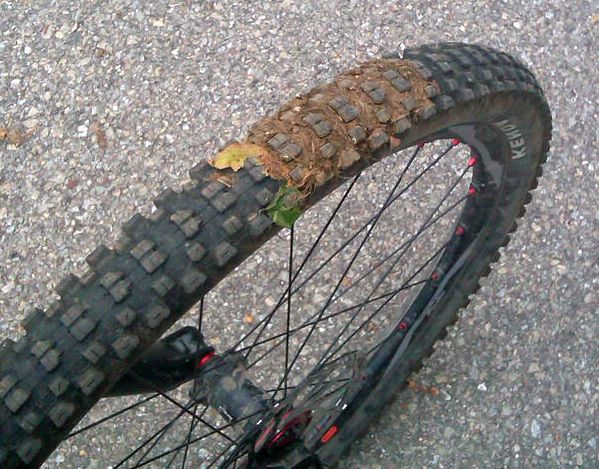 to get into the poop on the bike