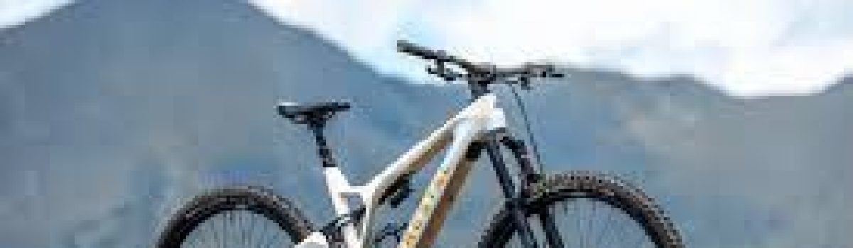 E-Mountain Biking in Austria: Legal Regulations and Riding Essentials