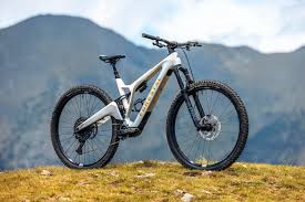 e mountain bike vienna
