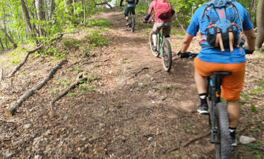 bike tour vienna 2