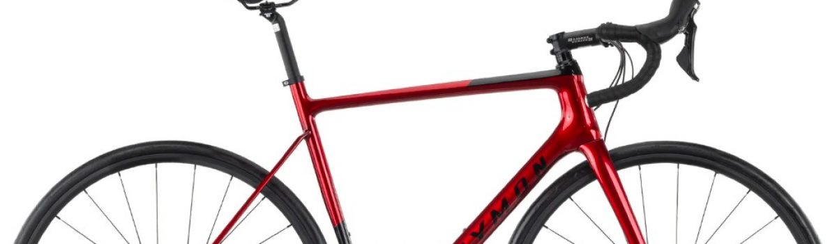 Raymon Race Ray 8.0 54 cm