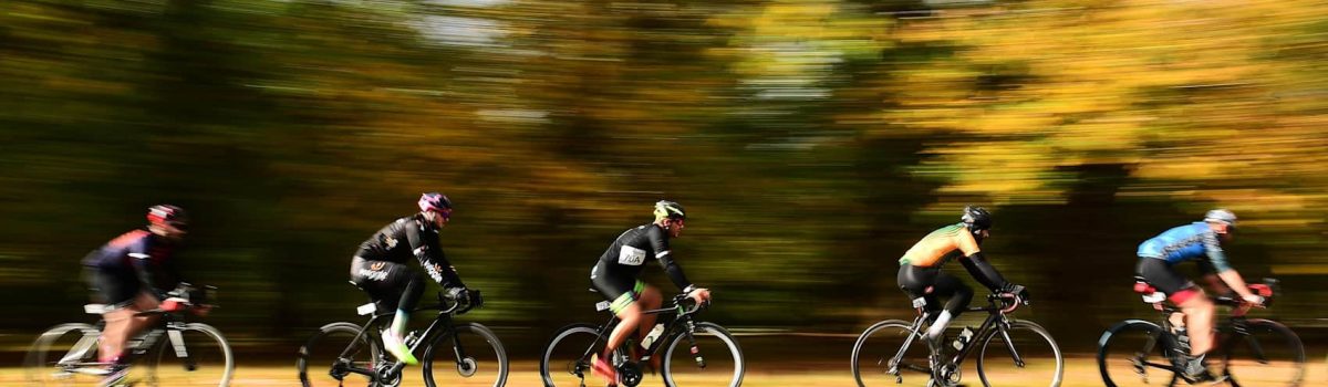 Group Bike Rentals in Vienna & Lower Austria