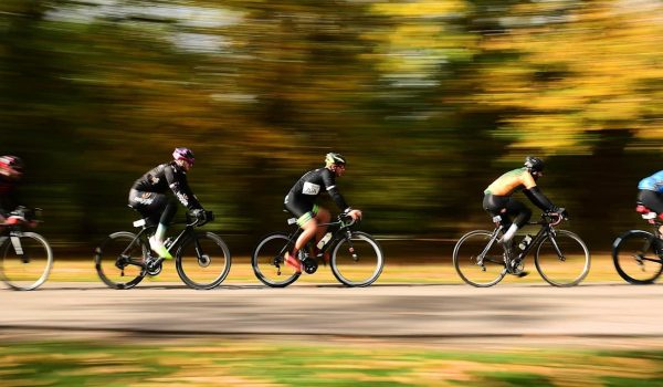 Group Bike Rentals in Vienna & Lower Austria