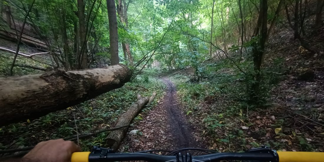 Hidden Gems: Lesser-Known Cycling Routes in Austria