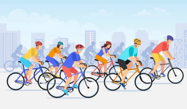 Group or Private Bike Tour – Which Adventure Suits You Best?