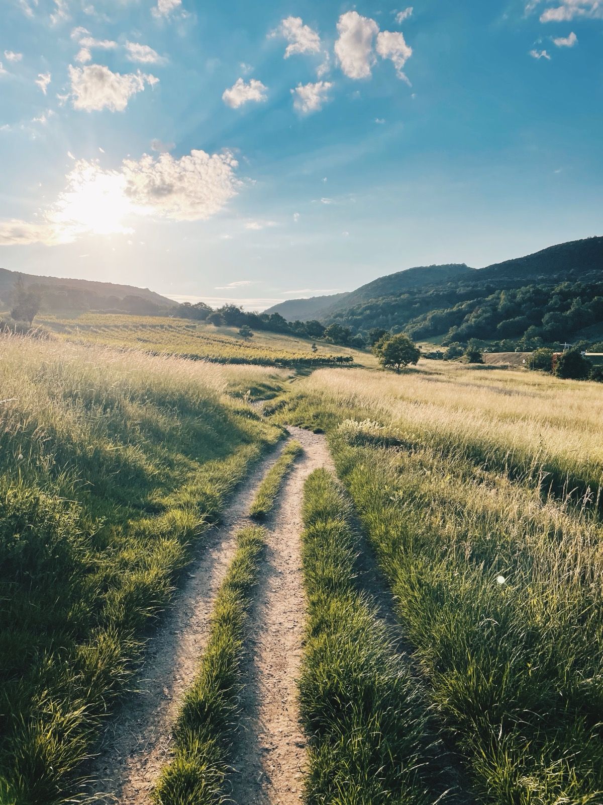 myrafalle-graveltour