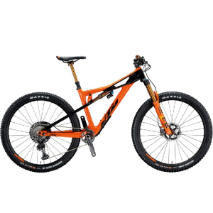 Mountain bikes for rent