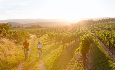 bike and wine austria